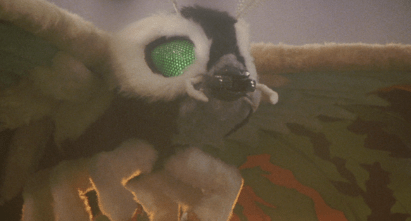 Screen Shot 2020-05-11 at 1.13.52 AM