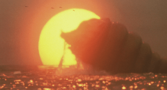 Screen Shot 2020-05-11 at 12.49.31 AM