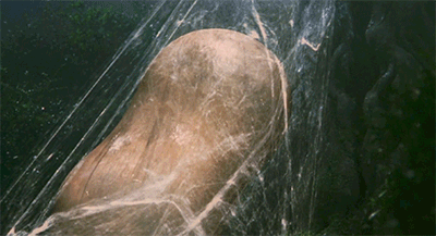 tumblr_839d7156d9549a3a76ac891070d5bc89_3bbd1d10_400