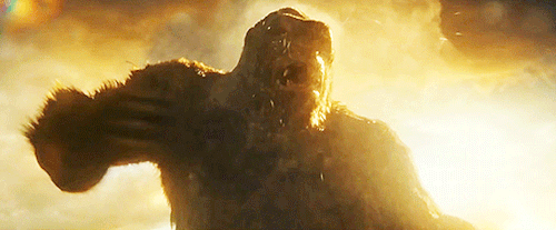 tumblr_f871cfec8746cf595b8374c09f8dc217_e109c23e_500